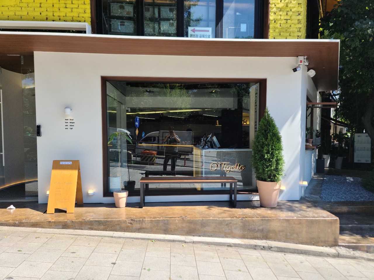 오띠젤리