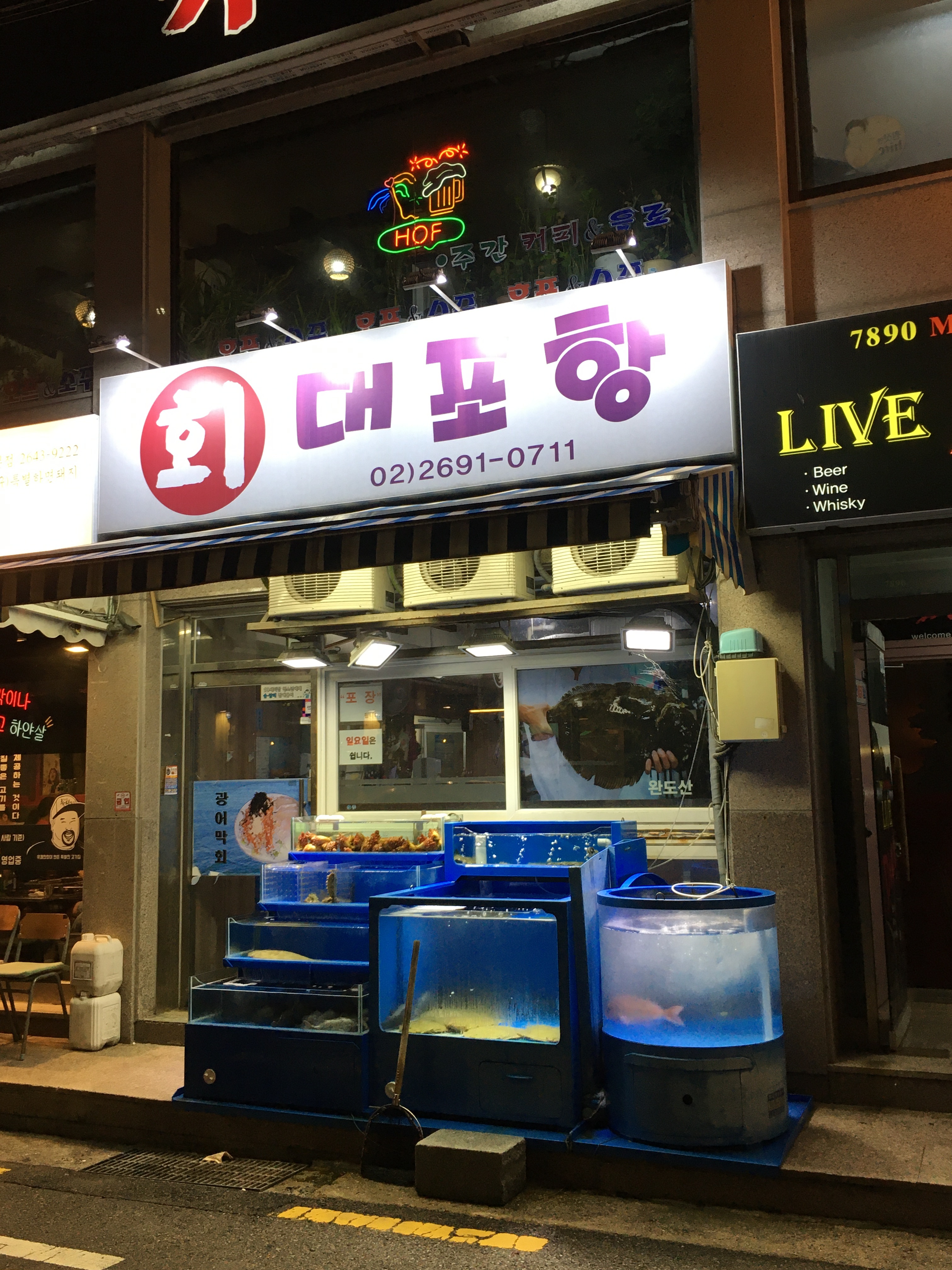 대포항회집